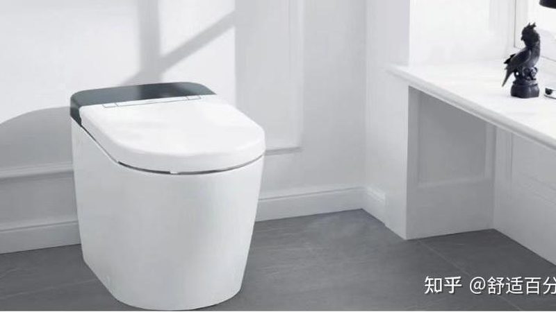 储水式智能马桶：解析其优缺点与选购要点**